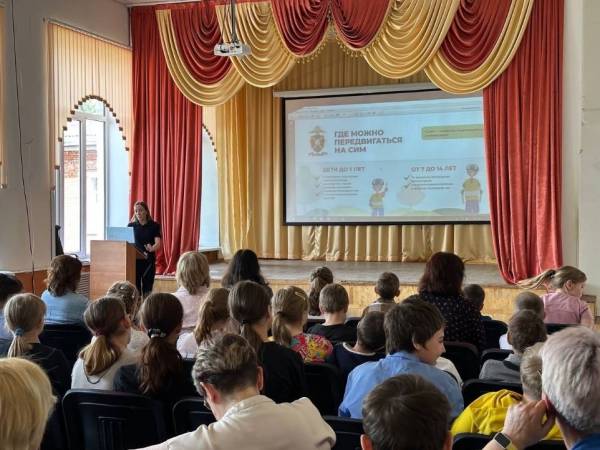 Пропаганда безопасности дорожного движения в образовательных учреждениях