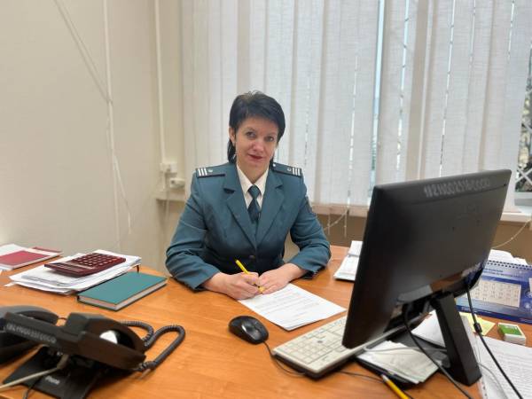 Декларационная кампания: порядок участия и получения налоговых вычетов