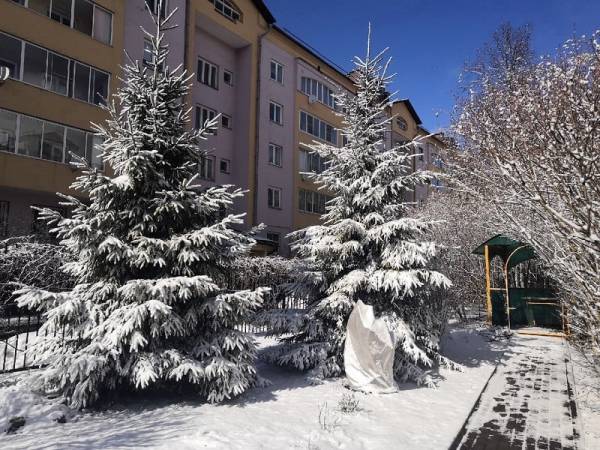 В Смоленской области продлятся аномальные морозы