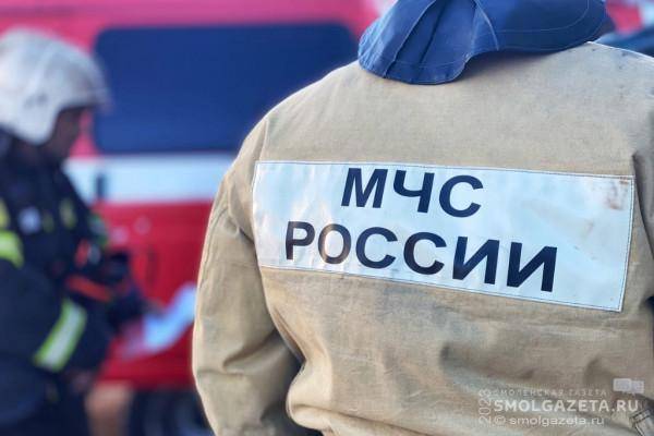 В Соловьиной роще Смоленска горели два автомобиля
