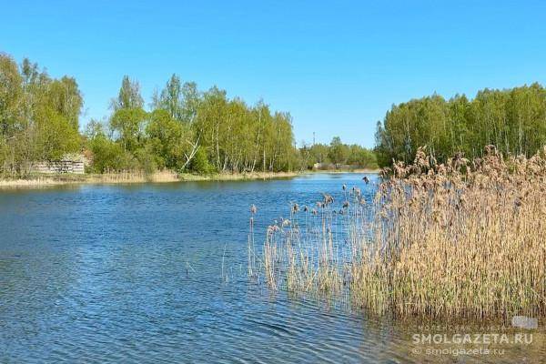 Прогноз погоды в Смоленской области на 4 мая: спокойная ночь и грозы днем Прогноз погоды в Смоленской области на 4 мая: спокойная ночь и грозы днем