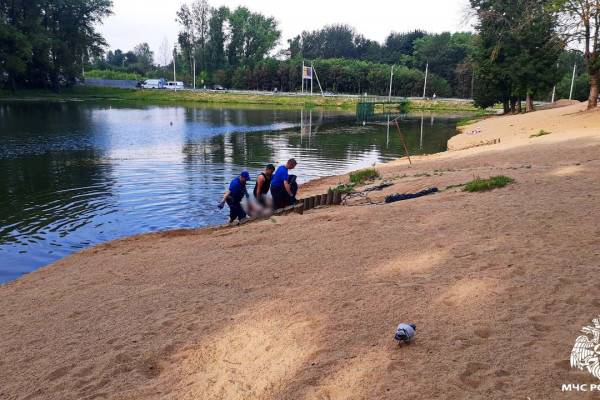 Из пруда в парке Соловьиная роща в Смоленске водолазы извлекли труп