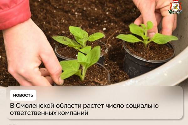 Объяснение ЭКГ-рейтингов компаний в Смоленской области Объяснение ЭКГ-рейтингов компаний в Смоленской области