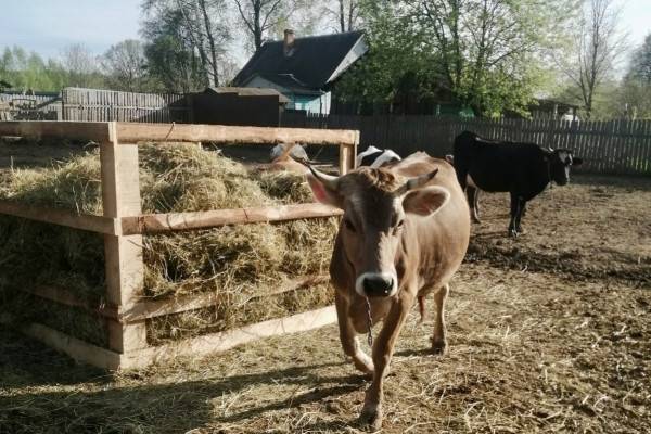 Более 520 смолян улучшили своё материальное положение благодаря соцконтрактам Более 520 смолян улучшили своё материальное положение благодаря соцконтрактам