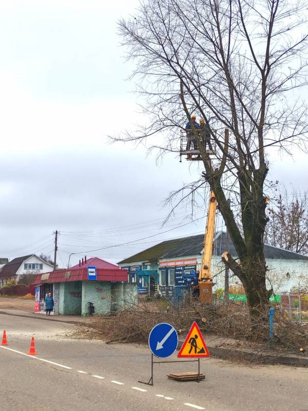 Благоустройство и безопасность: как в Рославле борются за зелёные насаждения